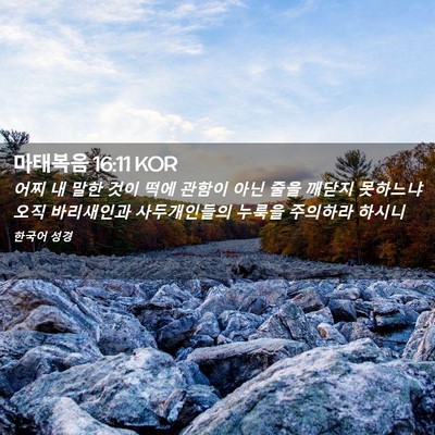 Picture 02 - 마태복음 16:11 KOR - 어찌 내 말한 것이 떡에 관함이 아닌 - Bible Verse Picture