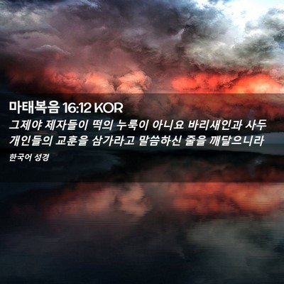 Picture 02 - 마태복음 16:12 KOR - 그제야 제자들이 떡의 누룩이 아니요 - Bible Verse Picture