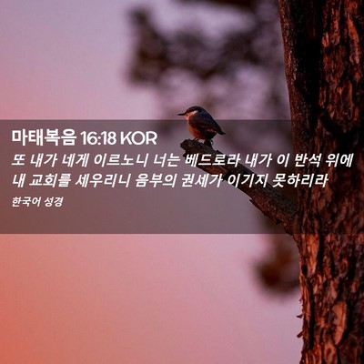 Picture 02 - 마태복음 16:18 KOR - 또 내가 네게 이르노니 너는 - Bible Verse Picture