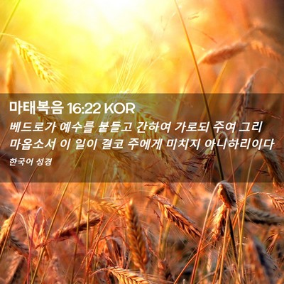 Picture 02 - 마태복음 16:22 KOR - 베드로가 예수를 붙들고 간하여 - Bible Verse Picture