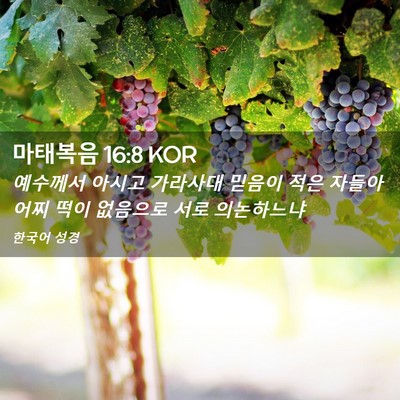Picture 02 - 마태복음 16:8 KOR - 예수께서 아시고 가라사대 믿음이 - Bible Verse Picture