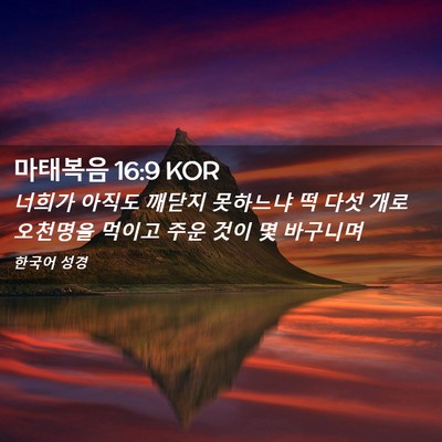 Picture 02 - 마태복음 16:9 KOR - 너희가 아직도 깨닫지 못하느냐 떡 - Bible Verse Picture