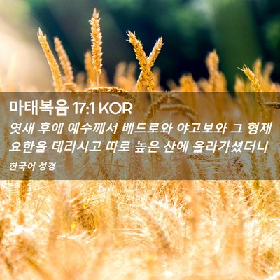Picture 02 - 마태복음 17:1 KOR - 엿새 후에 예수께서 베드로와 - Bible Verse Picture