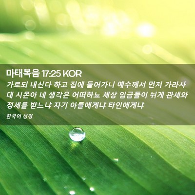 Picture 02 - 마태복음 17:25 KOR - 가로되 내신다 하고 집에 들어가니 - Bible Verse Picture
