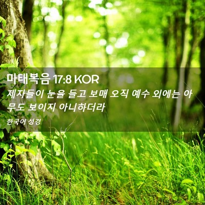 Picture 02 - 마태복음 17:8 KOR - 제자들이 눈을 들고 보매 오직 예수 - Bible Verse Picture