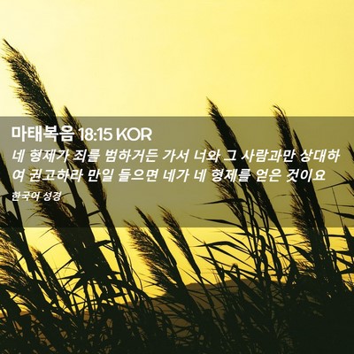 Picture 02 - 마태복음 18:15 KOR - 네 형제가 죄를 범하거든 가서 너와 - Bible Verse Picture
