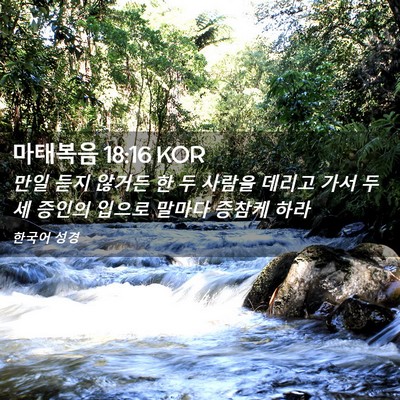 Picture 02 - 마태복음 18:16 KOR - 만일 듣지 않거든 한 두 사람을 - Bible Verse Picture
