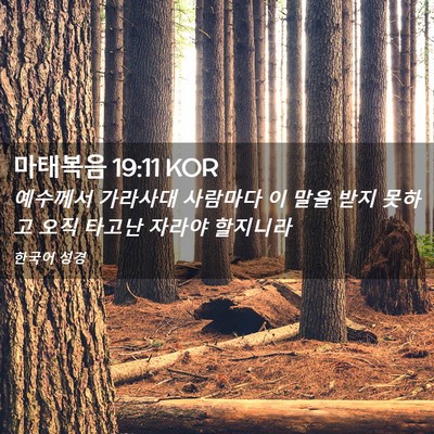 Picture 02 - 마태복음 19:11 KOR - 예수께서 가라사대 사람마다 이 말을 - Bible Verse Picture
