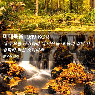Picture 02 - 마태복음 19:19 KOR - 네 부모를 공경하라 네 이웃을 네 - Bible Verse Picture