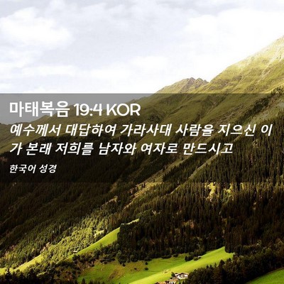 Picture 02 - 마태복음 19:4 KOR - 예수께서 대답하여 가라사대 사람을 - Bible Verse Picture