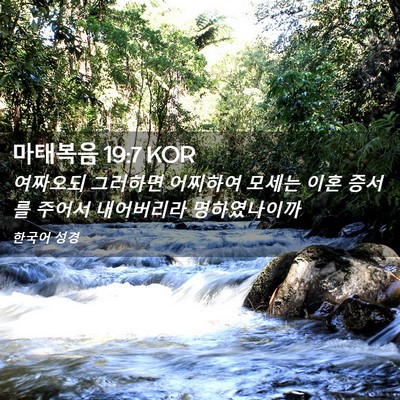 Picture 02 - 마태복음 19:7 KOR - 여짜오되 그러하면 어찌하여 모세는 - Bible Verse Picture
