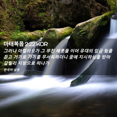 Picture 02 - 마태복음 2:22 KOR - 그러나 아켈라오가 그 부친 헤롯을 - Bible Verse Picture