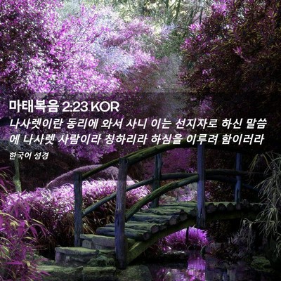 Picture 02 - 마태복음 2:23 KOR - 나사렛이란 동리에 와서 사니 이는 - Bible Verse Picture
