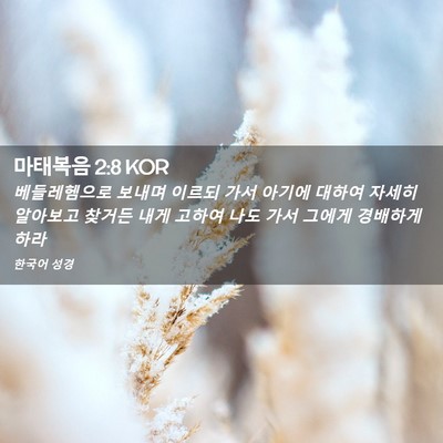 Picture 02 - 마태복음 2:8 KOR - 베들레헴으로 보내며 이르되 가서 - Bible Verse Picture