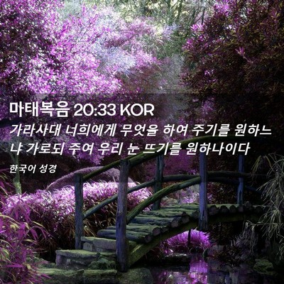Picture 02 - 마태복음 20:33 KOR - 가라사대 너희에게 무엇을 하여 - Bible Verse Picture
