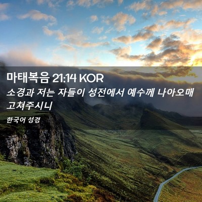 Picture 02 - 마태복음 21:14 KOR - 소경과 저는 자들이 성전에서 예수께 - Bible Verse Picture