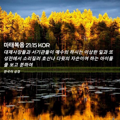 Picture 02 - 마태복음 21:15 KOR - 대제사장들과 서기관들이 예수의 - Bible Verse Picture