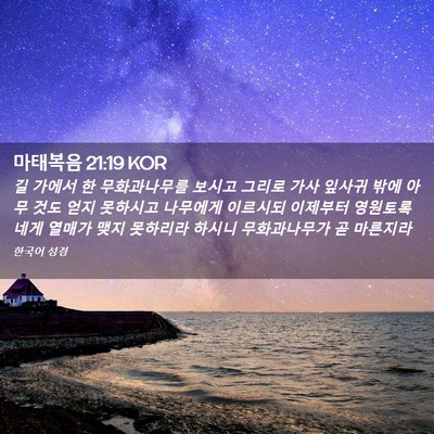 Picture 02 - 마태복음 21:19 KOR - 길 가에서 한 무화과나무를 보시고 - Bible Verse Picture