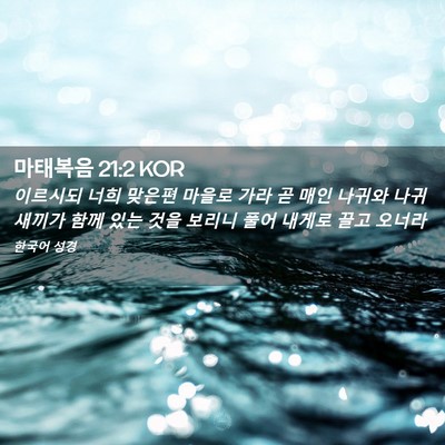 Picture 02 - 마태복음 21:2 KOR - 이르시되 너희 맞은편 마을로 가라 - Bible Verse Picture