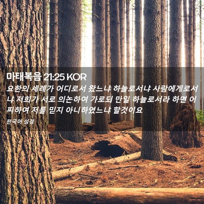 Picture 02 - 마태복음 21:25 KOR - 요한의 세례가 어디로서 왔느냐 - Bible Verse Picture