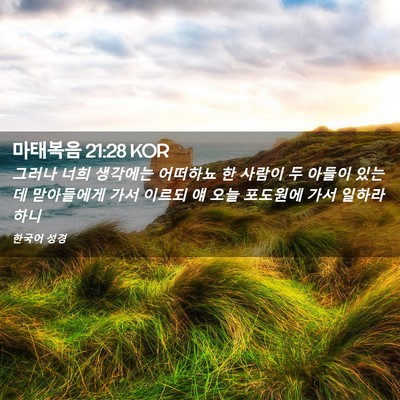 Picture 02 - 마태복음 21:28 KOR - 그러나 너희 생각에는 어떠하뇨 한 - Bible Verse Picture