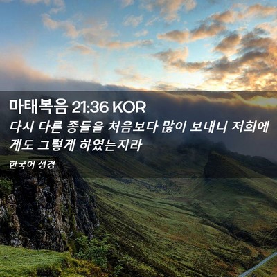 Picture 02 - 마태복음 21:36 KOR - 다시 다른 종들을 처음보다 많이 - Bible Verse Picture