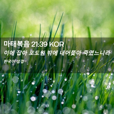 Picture 02 - 마태복음 21:39 KOR - 이에 잡아 포도원 밖에 내어쫓아 - Bible Verse Picture