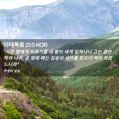 Picture 02 - 마태복음 21:5 KOR - 