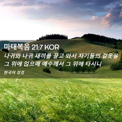 Picture 02 - 마태복음 21:7 KOR - 나귀와 나귀 새끼를 끌고 와서 - Bible Verse Picture
