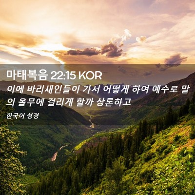 Picture 02 - 마태복음 22:15 KOR - 이에 바리새인들이 가서 어떻게 하여 - Bible Verse Picture