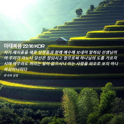 Picture 02 - 마태복음 22:16 KOR - 자기 제자들을 헤롯 당원들과 함께 - Bible Verse Picture