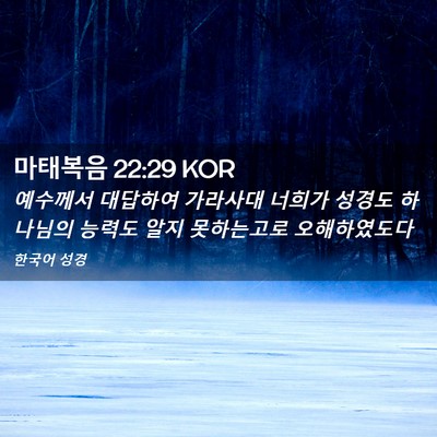 Picture 02 - 마태복음 22:29 KOR - 예수께서 대답하여 가라사대 너희가 - Bible Verse Picture