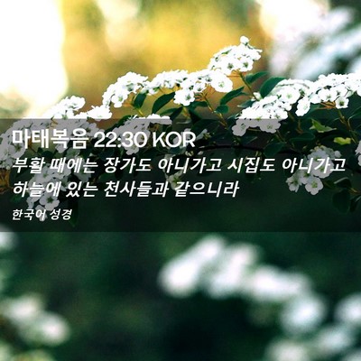 Picture 02 - 마태복음 22:30 KOR - 부활 때에는 장가도 아니가고 시집도 - Bible Verse Picture