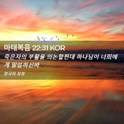 Picture 02 - 마태복음 22:31 KOR - 죽은자의 부활을 의논할찐대 - Bible Verse Picture