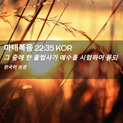 Picture 02 - 마태복음 22:35 KOR - 그 중에 한 율법사가 예수를 - Bible Verse Picture