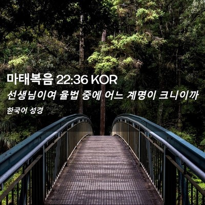 Picture 02 - 마태복음 22:36 KOR - 선생님이여 율법 중에 어느 계명이 - Bible Verse Picture