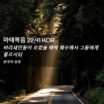 Picture 02 - 마태복음 22:41 KOR - 바리새인들이 모였을 때에 예수께서 - Bible Verse Picture
