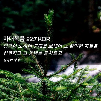 Picture 02 - 마태복음 22:7 KOR - 임금이 노하여 군대를 보내어 그 - Bible Verse Picture