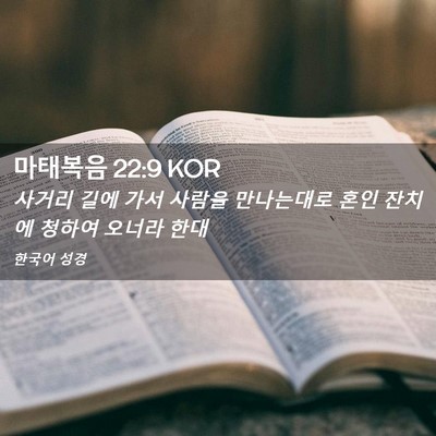 Picture 02 - 마태복음 22:9 KOR - 사거리 길에 가서 사람을 만나는대로 - Bible Verse Picture