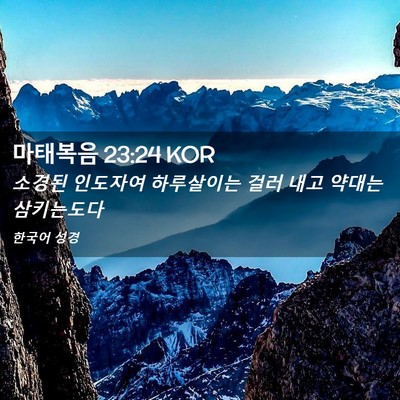 Picture 02 - 마태복음 23:24 KOR - 소경된 인도자여 하루살이는 걸러 - Bible Verse Picture