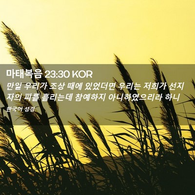 Picture 02 - 마태복음 23:30 KOR - 만일 우리가 조상 때에 있었더면 - Bible Verse Picture
