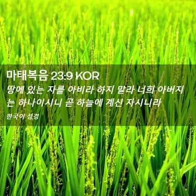 Picture 02 - 마태복음 23:9 KOR - 땅에 있는 자를 아비라 하지 말라 - Bible Verse Picture