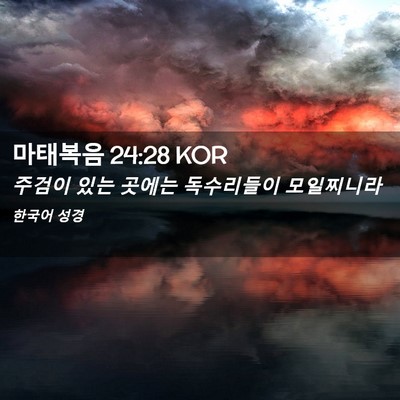 Picture 02 - 마태복음 24:28 KOR - 주검이 있는 곳에는 독수리들이 - Bible Verse Picture