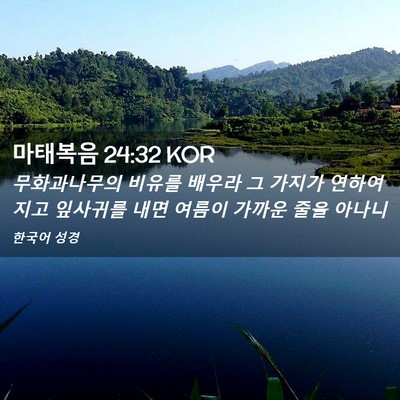 Picture 02 - 마태복음 24:32 KOR - 무화과나무의 비유를 배우라 그 - Bible Verse Picture