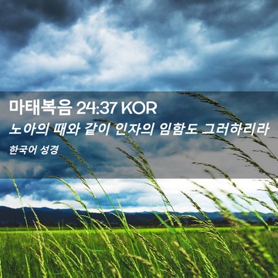 Picture 02 - 마태복음 24:37 KOR - 노아의 때와 같이 인자의 임함도 - Bible Verse Picture