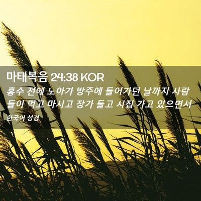 Picture 02 - 마태복음 24:38 KOR - 홍수 전에 노아가 방주에 들어가던 - Bible Verse Picture