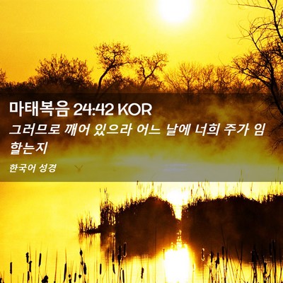 Picture 02 - 마태복음 24:42 KOR - 그러므로 깨어 있으라 어느 날에 - Bible Verse Picture