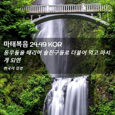 Picture 02 - 마태복음 24:49 KOR - 동무들을 때리며 술친구들로 더불어 - Bible Verse Picture
