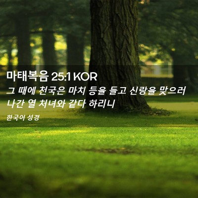 Picture 02 - 마태복음 25:1 KOR - 그 때에 천국은 마치 등을 들고 - Bible Verse Picture