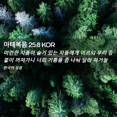 Picture 02 - 마태복음 25:8 KOR - 미련한 자들이 슬기 있는 자들에게 - Bible Verse Picture